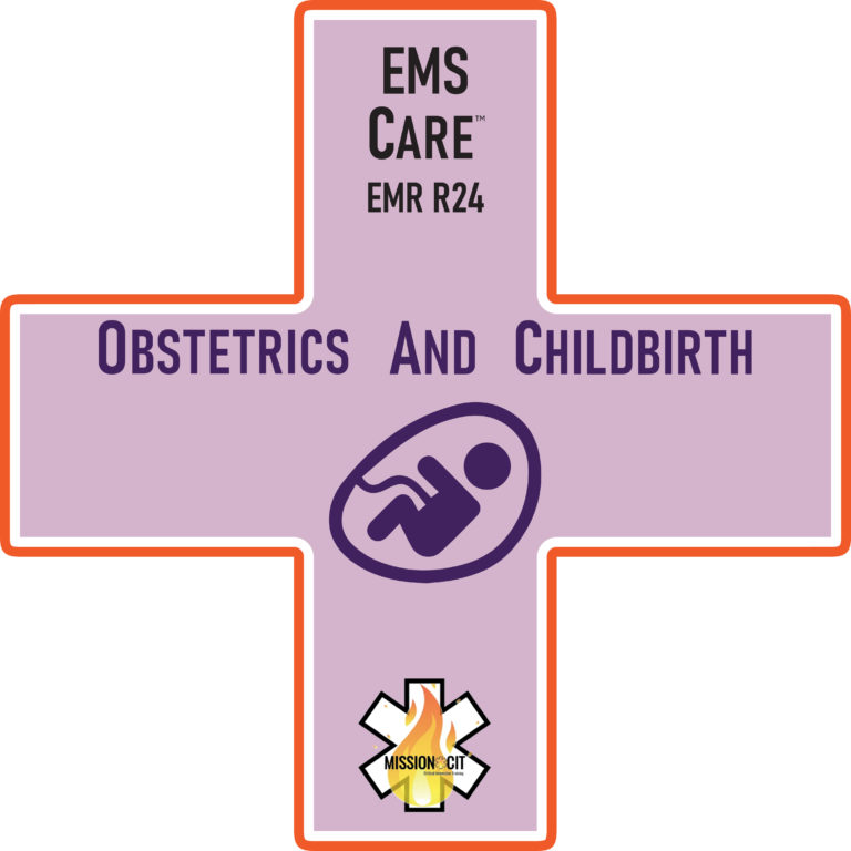 EMR Initial | EMS Care Ch EMR- E24 | Obstetricia y Parto
