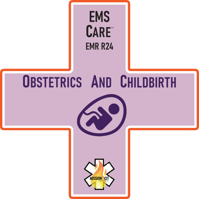 EMR Initial | EMS Care Ch EMR- E24 | Obstetrics and Childbirth