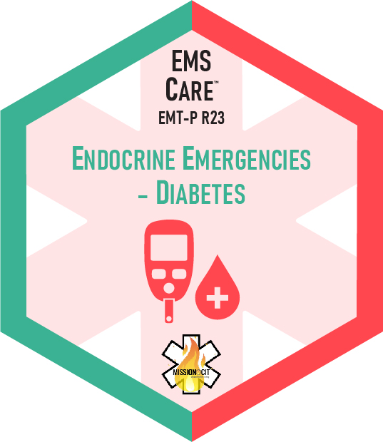 Paramedic Recert EMS Care | 23-MCIT-F3-4123 | Emergencias Endocrinas - Diabetes